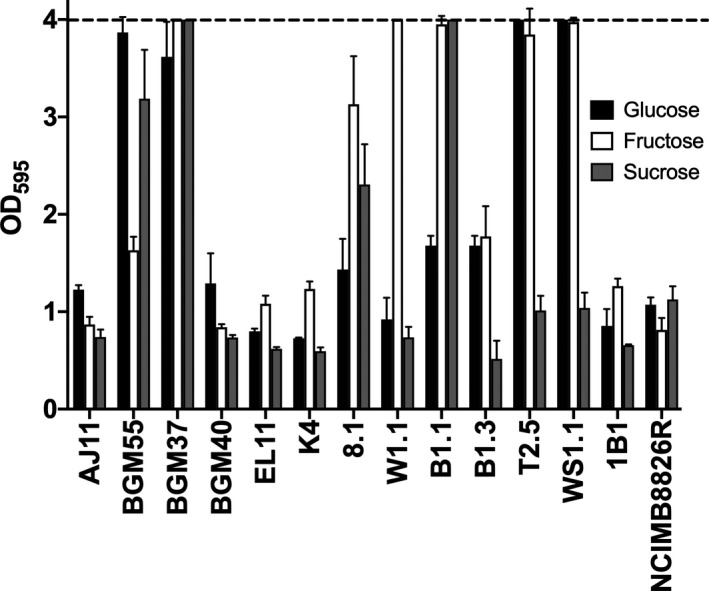 Fig. 6