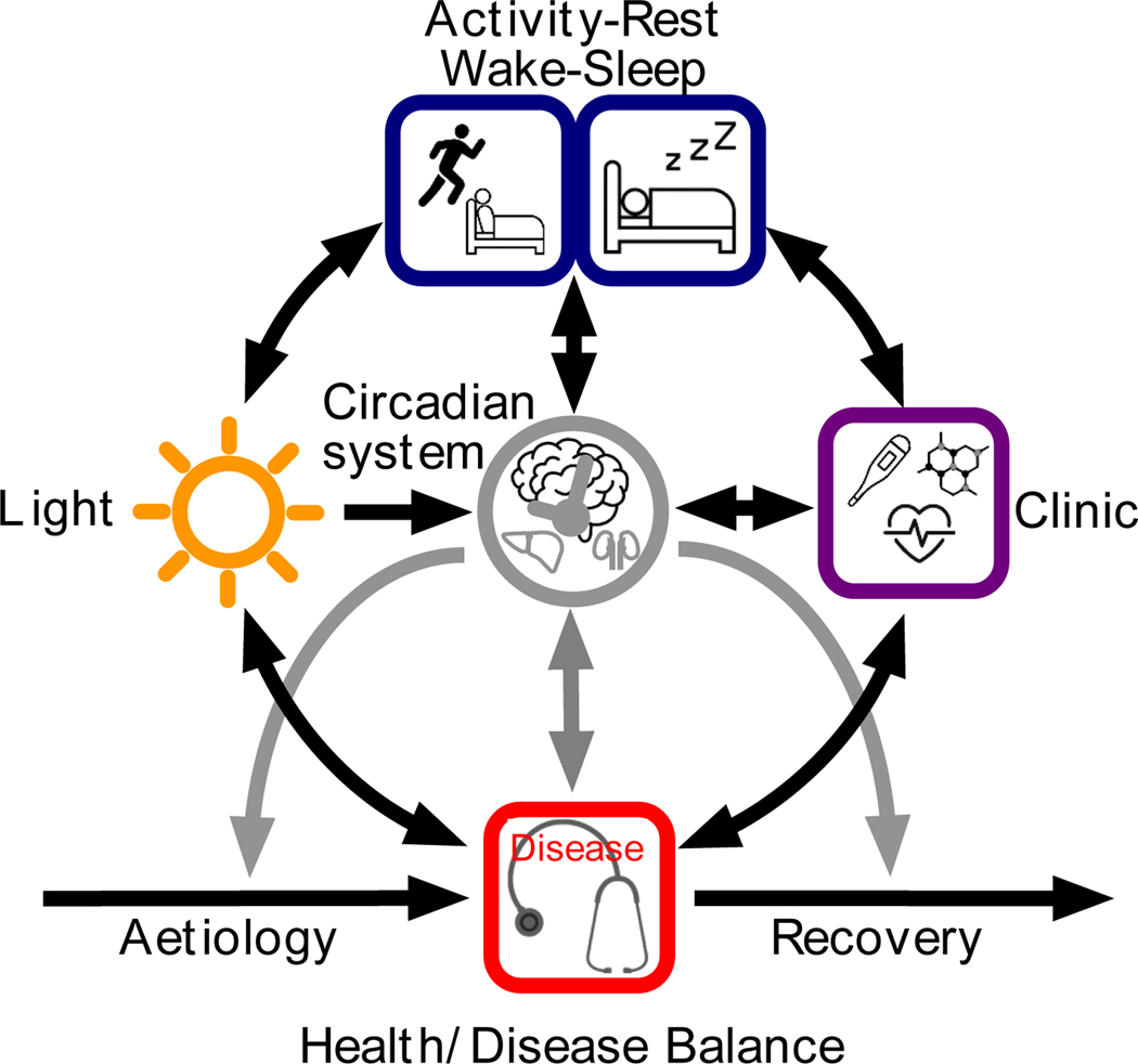 Figure 3: