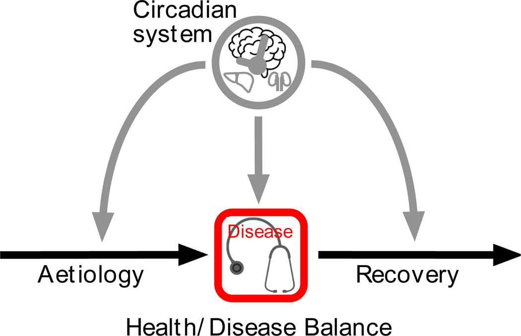 Figure 1: