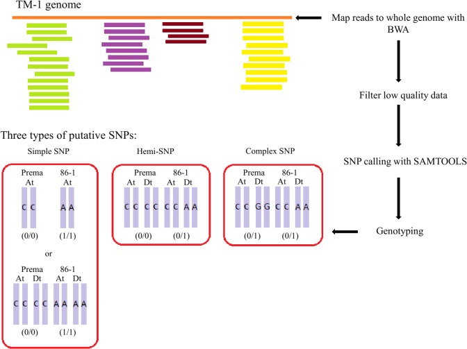 Fig 1