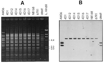 FIG. 5