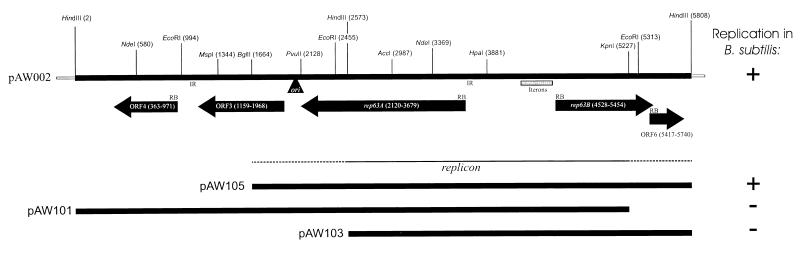 FIG. 1