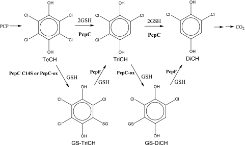 FIG. 5.