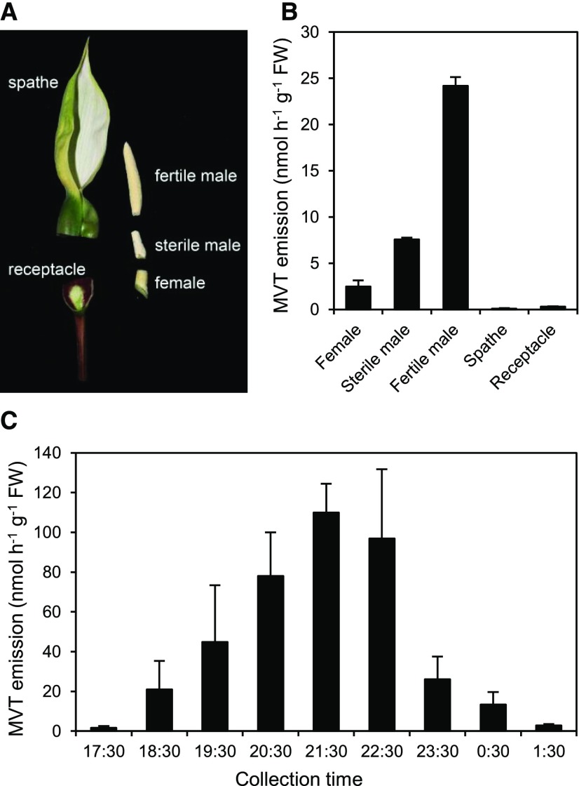 Figure 3.