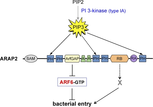 FIG. 9.