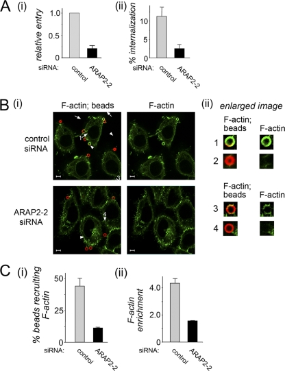 FIG. 8.