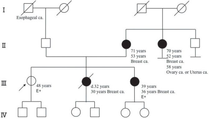 Fig 1.