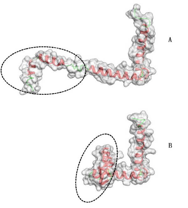 Figure 8