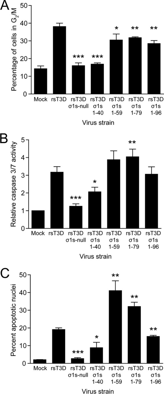 Fig 5