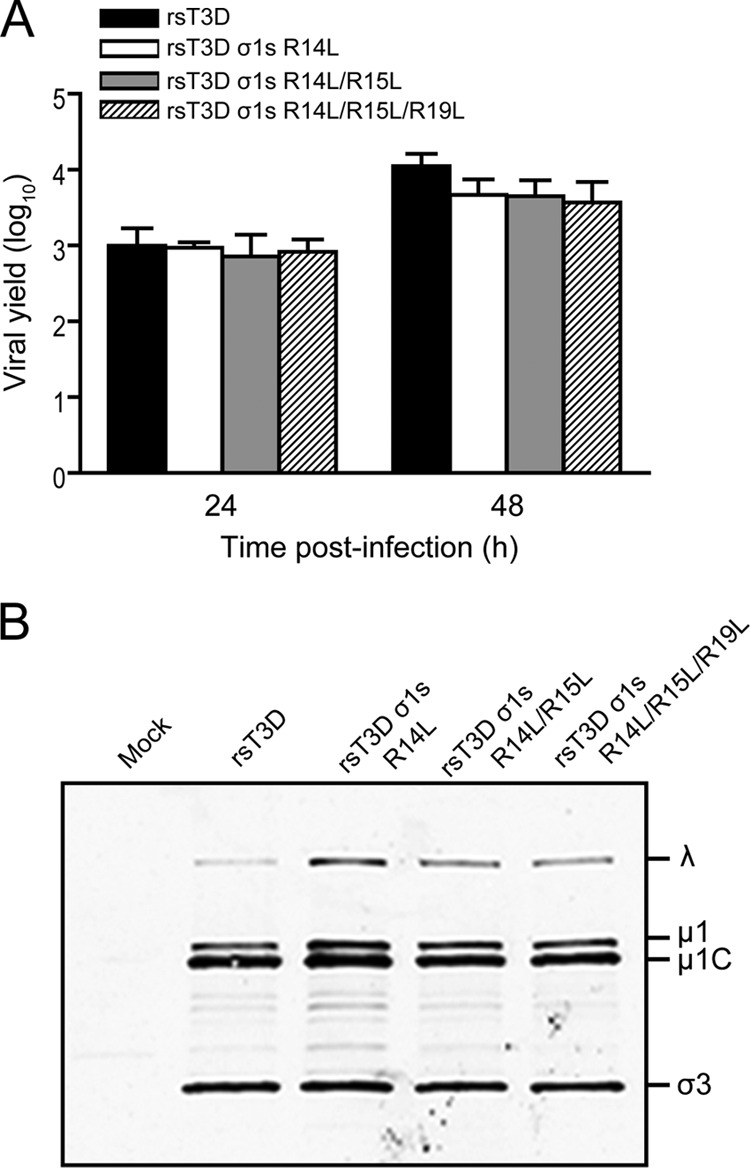 Fig 6