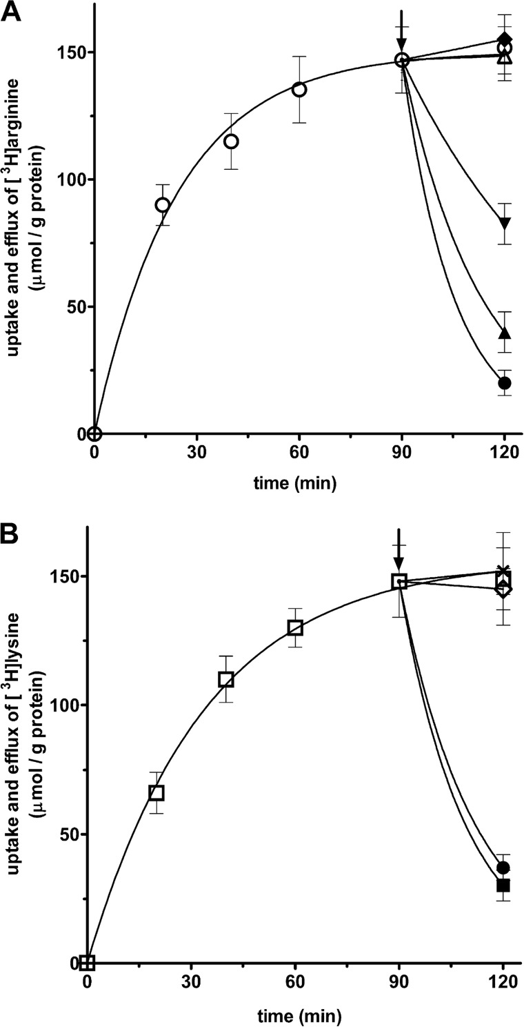 FIGURE 10.