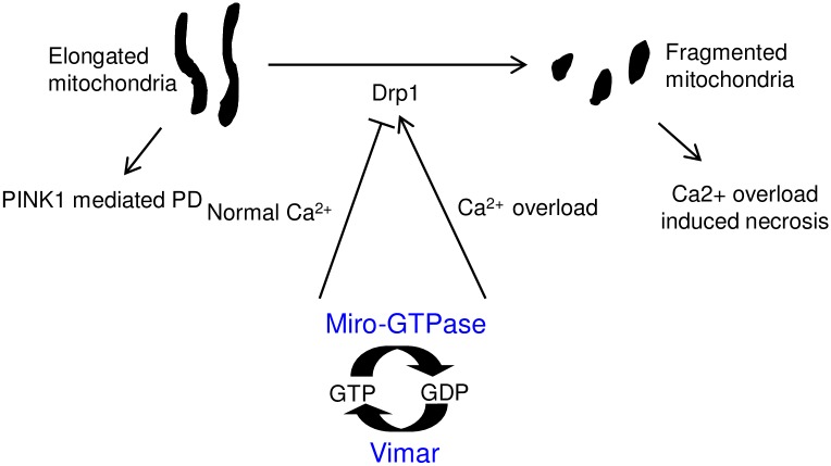 Fig 6