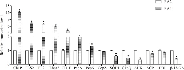 Fig 6