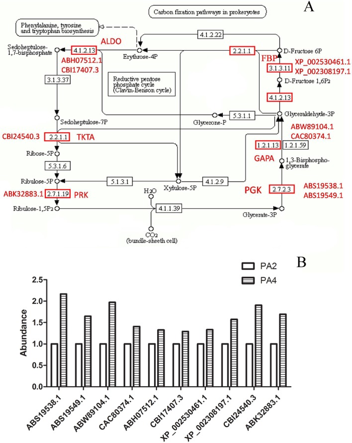 Fig 8