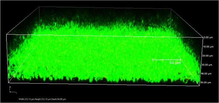 Figure 5