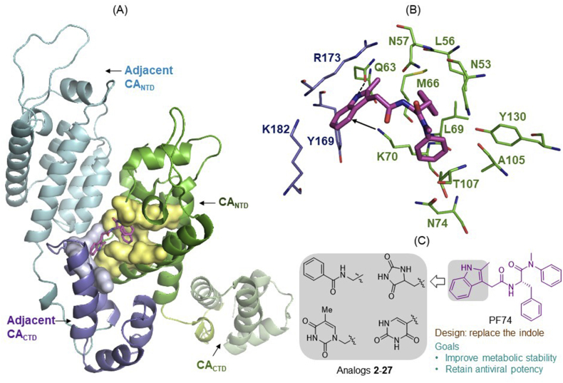 Figure 1