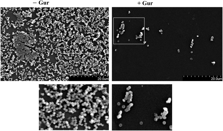 Figure 3