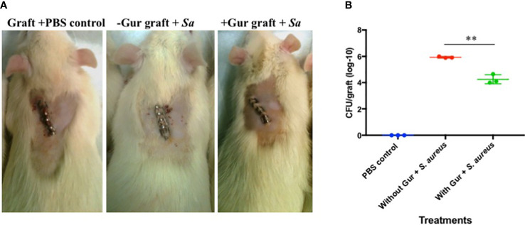 Figure 5