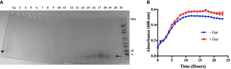 Figure 1