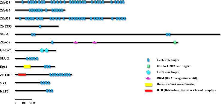 Fig. 1