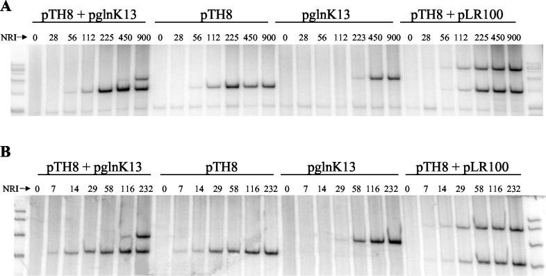 FIG. 6.