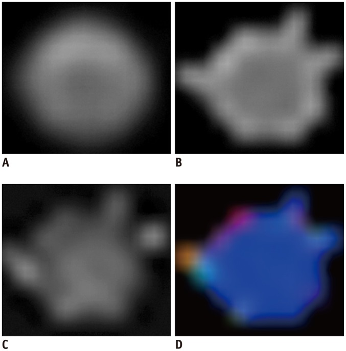 Fig. 2