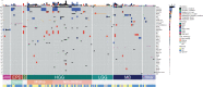 Figure 2. Oncomap of potentially actionable alterations and canonical fusions in CNS tumors in 118 patients with 119 samples. Tumor types with five or fewer samples are grouped together in “Other.” Only alterations identified five or more times within the whole study are reported here. ATRT, atypical teratoid rhabdoid tumor; GCT, CNS germ cell tumor; EPD, ependymoma; HGG, high-grade glioma; LGG, low-grade glioma; MB, medulloblastoma; Other, other CNS tumors; supra, supratentorial; subpathology, pathology subtype; matched, matched therapy received according to recommendations; NA, not applicable; NCFUP, follow-up < 12 months.