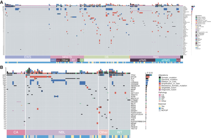 Figure 3. Oncomap of potentially actionable alterations and canonical fusions in sarcoma in 213 patients with 215 samples (A) and other solid tumors in 86 patients with 86 samples (B). Tumor types with five or fewer samples are grouped together in “Other.” Only alterations identified five or more times within the whole study are reported here. aRMS, alveolar rhabdomyosarcoma; DSRCT, desmoplastic small round cell tumor; eRMS, embryonal rhabdomyosarcoma; EWS, Ewing sarcoma; NRSTS, non-rhabdomyosarcoma soft-tissue sarcoma; MPNST, malignant peripheral nerve sheath tumor; NOS, non-other specified; OS, osteosarcoma; RT, rhabdoid tumor; RMS, rhabdomyosarcoma; SS, synovial sarcoma; US, undifferentiated sarcoma; CA, carcinoma; NBL, neuroblastoma; Other ST, other solid tumors; WT, Wilms tumor; subpathology, pathology subtype; matched, matched therapy received according to recommendations; NA, not applicable; NCFUP, follow-up < 12 months.