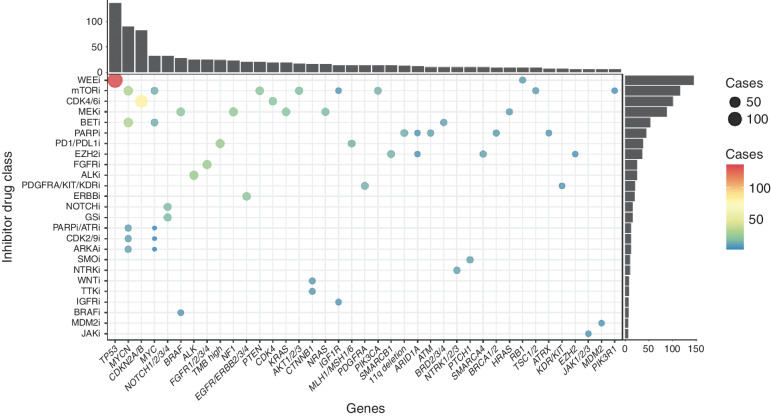 Figure 4. Matched targeted treatment recommendations per genetic alterations (only one alteration by gene and those occurring in more than five cases are represented). PD1/PD1Li: programmed cell death protein 1/ligand immune checkpoint inhibitors; GSi: gamma-secretase inhibitor; TMB, tumor mutational burden.