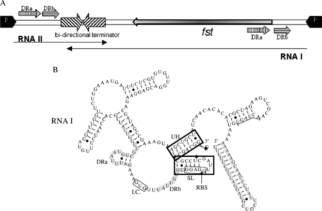 FIG. 1.