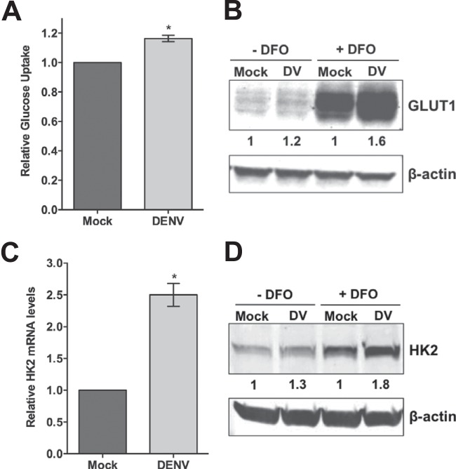 FIG 3