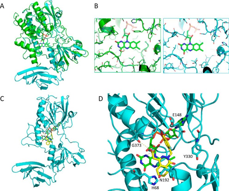 Figure 6.