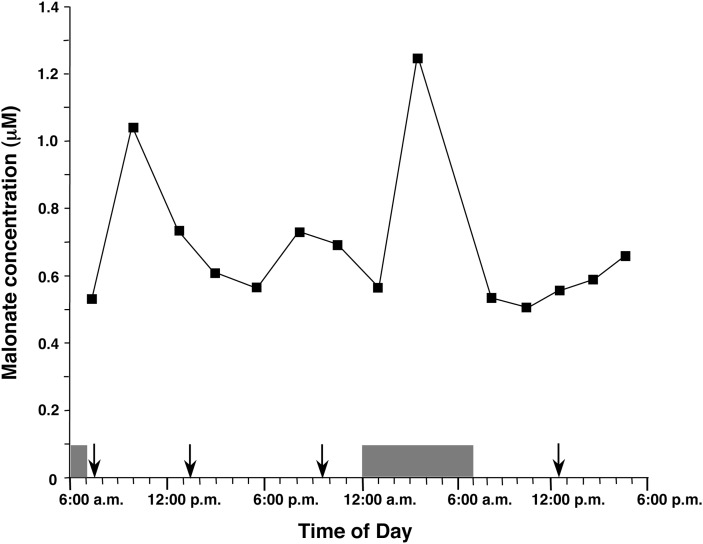 Fig. 5.