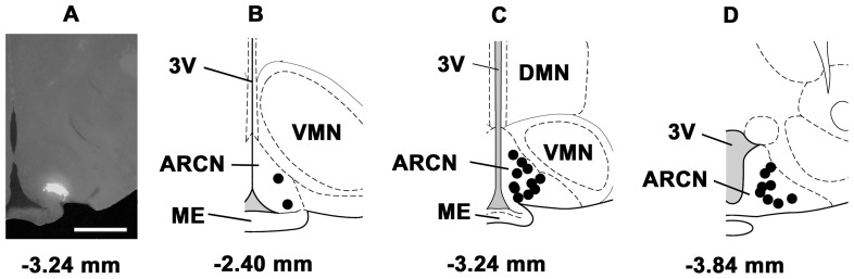 Figure 8