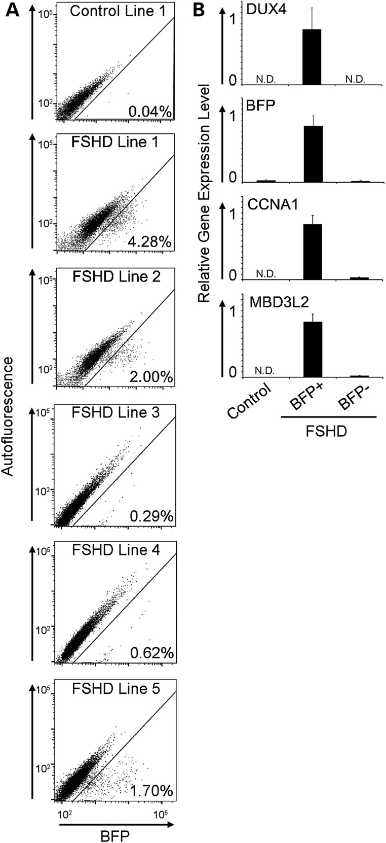 Figure 4.