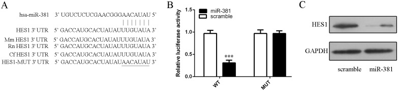 Fig 5