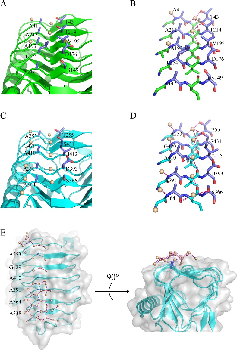 Fig 4