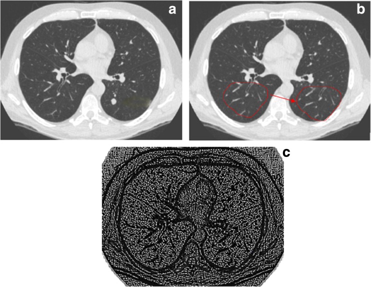 Fig. 5