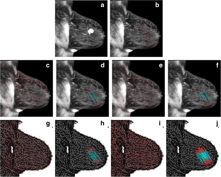 Fig. 8