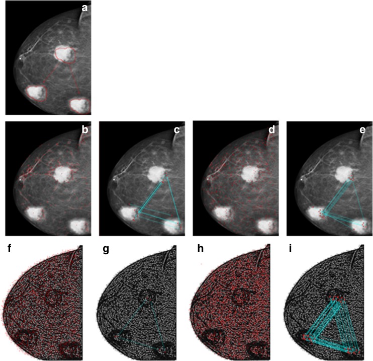 Fig. 9