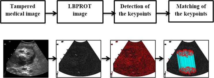 Fig. 2