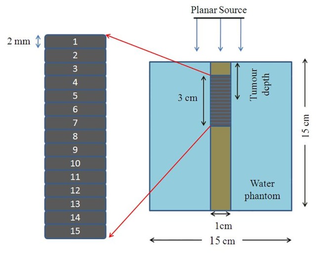 Figure1