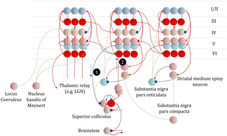 Figure 11