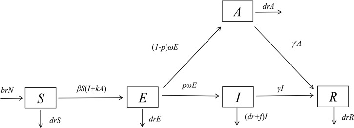 Fig. 1.