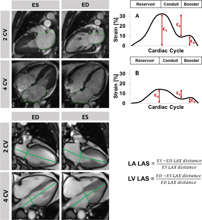 Fig. 2