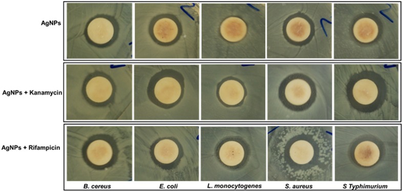 FIGURE 6