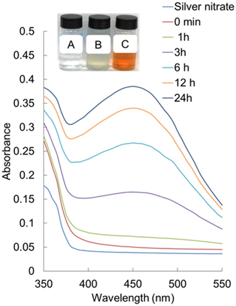 FIGURE 2