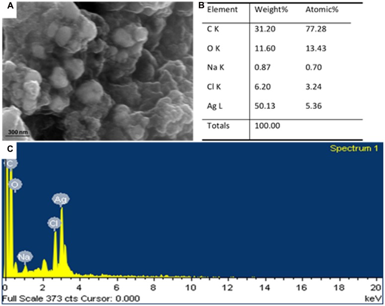 FIGURE 3