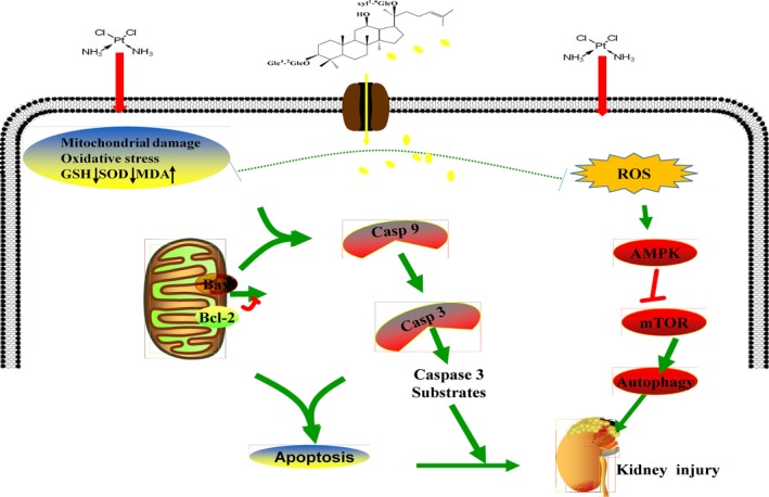 Figure 10