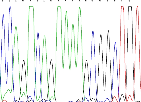 Fig. 1